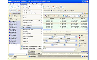 Screenshot vom Programm: Mp3 Tag Assistant Professional