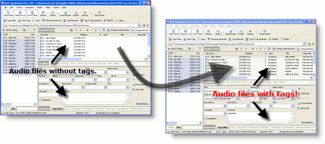 Get auduo tags from Internet