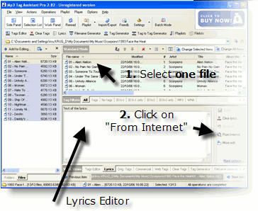 Click From Internet button for lyrics search