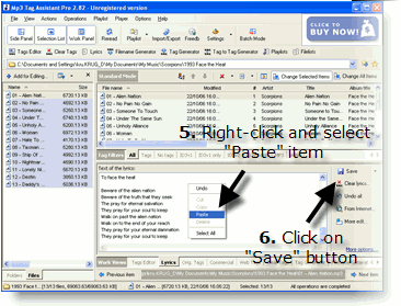 Paste lyrics to input field