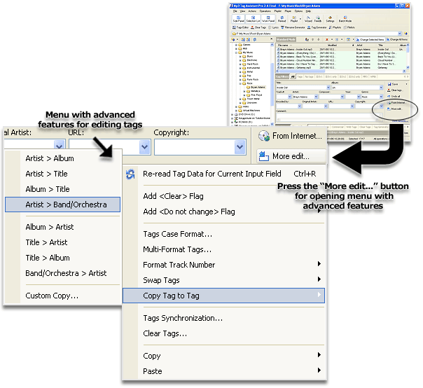 Advanced MP3 tag editing